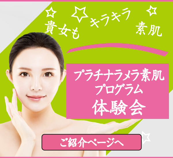 体験会
